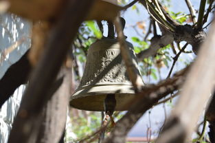 爱游戏在线服务-NBA球员转会市场动态，nba转会名单