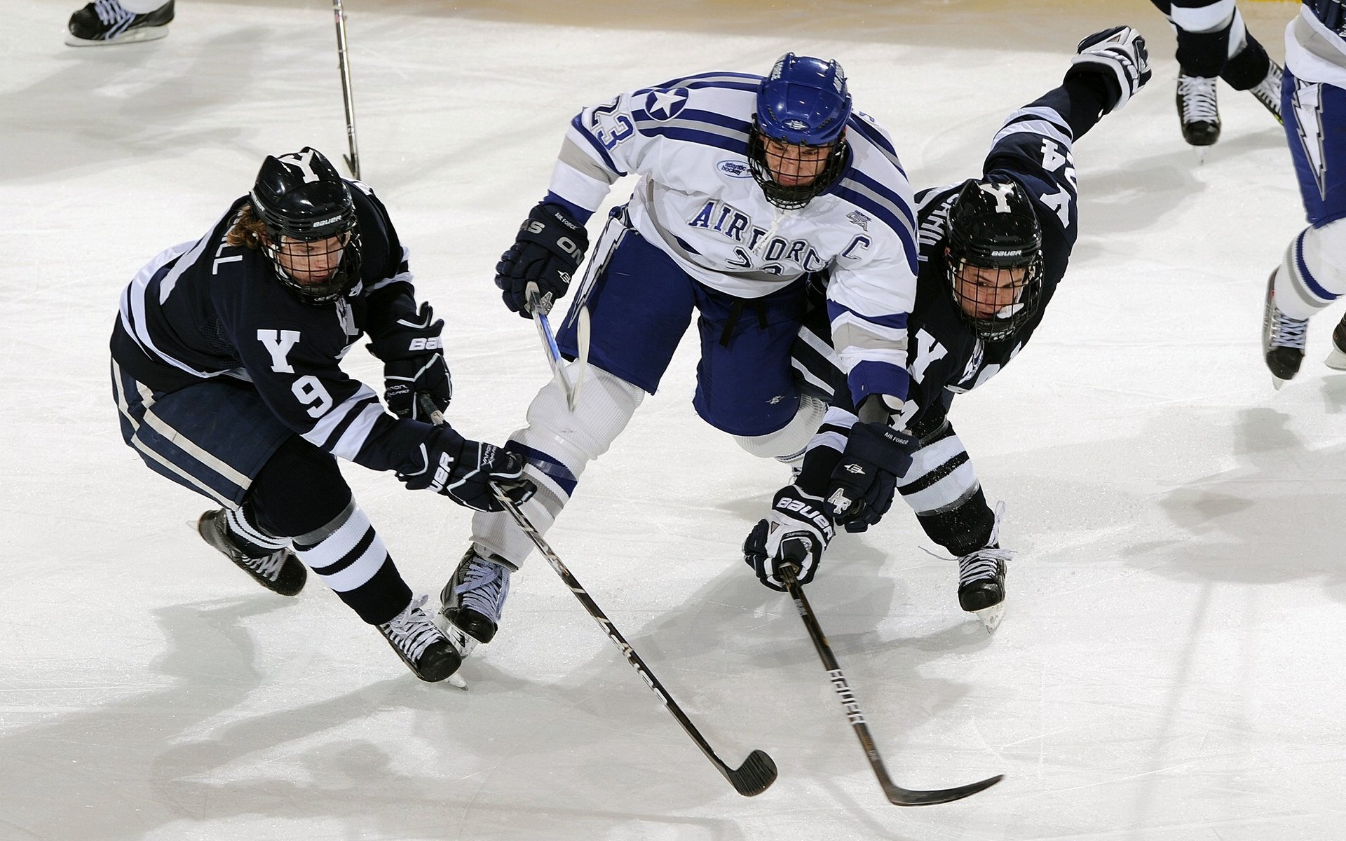 全国青少年“农业+体育”融合节在郑州成功举办，推动区域体育发展